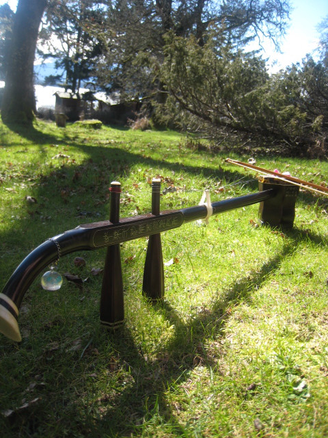 バンクーバー島の芝生に横たわる二胡